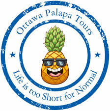 Palapa Tours Logo.jpg